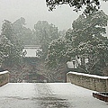 雪景 - 北京大覺寺