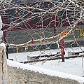 雪景 - 北京大覺寺 9