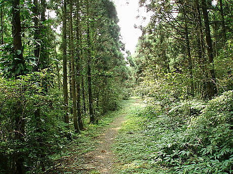 坪溪古道