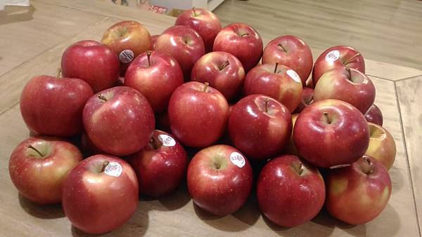 【口試專用 孔子加持】餐盒(茶點)+伴手禮 讓你論文all 