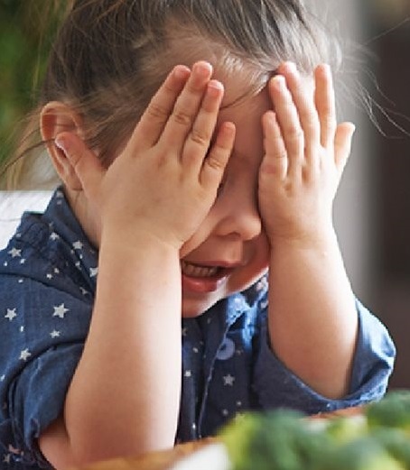 【口試專用 孔子加持】餐盒(茶點)+伴手禮 讓你論文all 