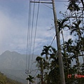 去阿里山的路上