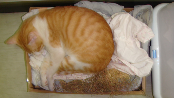 DSC02630.JPG DSC02630.JPG