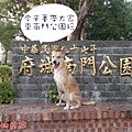 哈士奇居家清潔公司-寵物當家-府城南門公園1.JPG