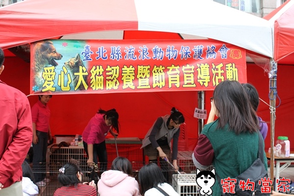 哈士奇居家清潔公司-寵物當家-“愛的接力”犬貓送養暨絕育宣導活動1.JPG