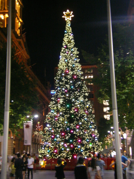 Marting Place的聖誕樹
