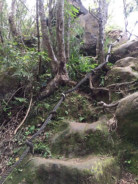 1469402876101 1469402876101