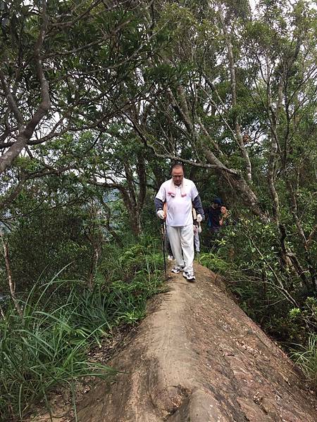 1469350214734 1469350214734