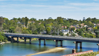 figtree-bridge