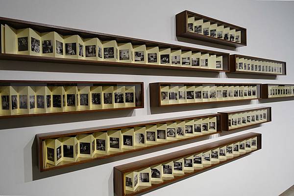 DSC00173_meitu_11 (1) DSC00173_meitu_11 (1)