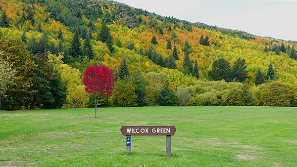 DSC03248_meitu_18.jpg DSC03248_meitu_18.jpg