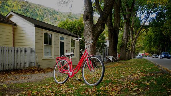 DSC03276_meitu_11.jpg DSC03276_meitu_11.jpg