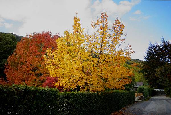 DSC03278_meitu_7.jpg DSC03278_meitu_7.jpg