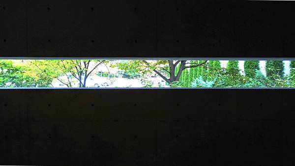 DSC08575 (2).jpg DSC08575 (2).jpg