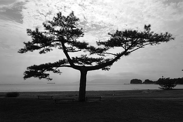 DSC08601 (2).jpg DSC08601 (2).jpg