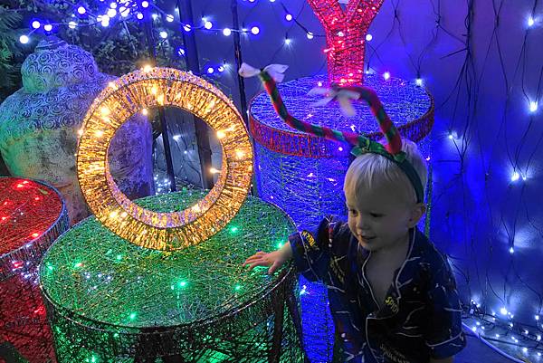 DSC02199 (2).jpg DSC02199 (2).jpg