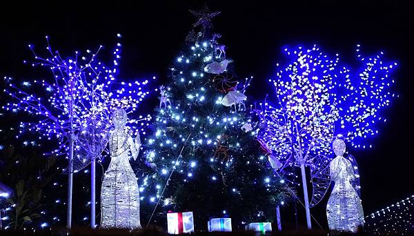 DSC02240 (2).jpg DSC02240 (2).jpg