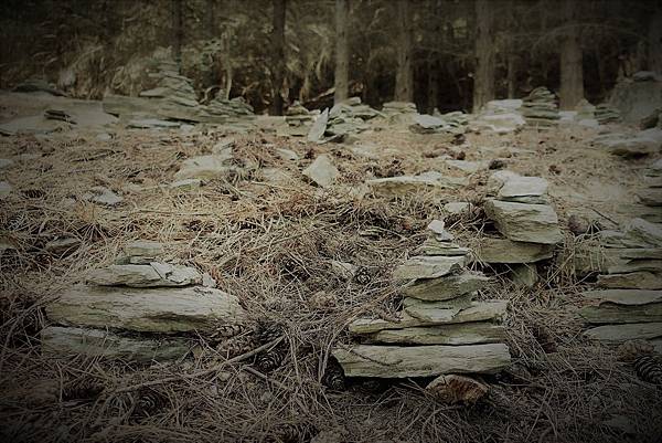 DSC04525 (2).JPG DSC04525 (2).JPG