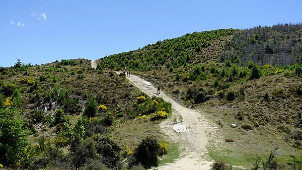 DSC04562 (1).jpg DSC04562 (1).jpg