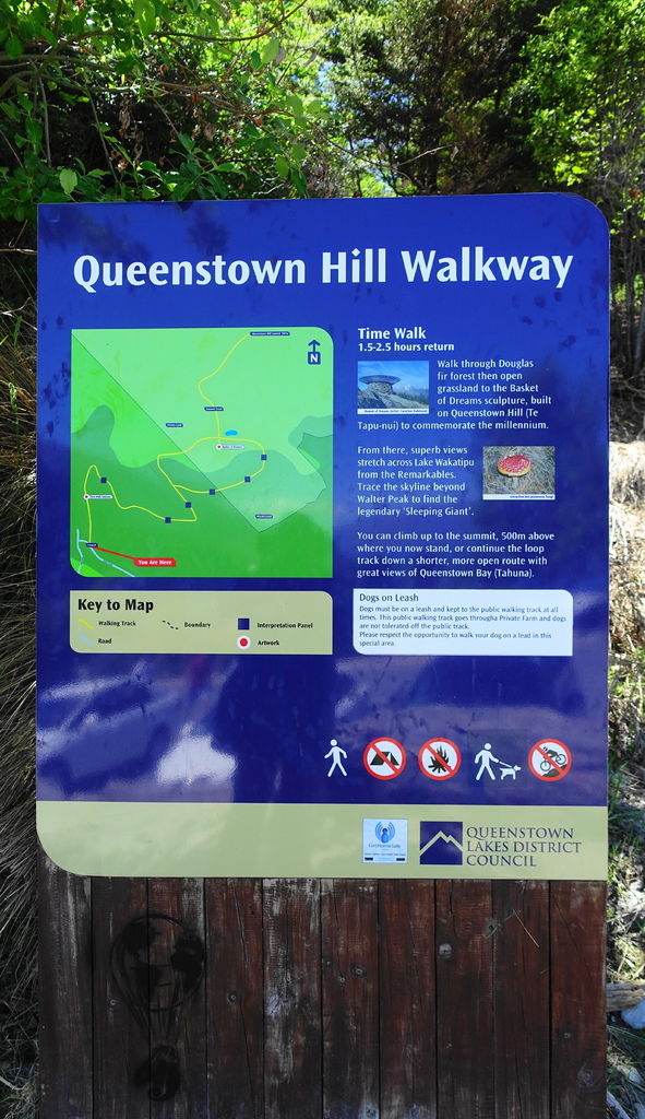 DSC04583 (1).JPG DSC04583 (1).JPG