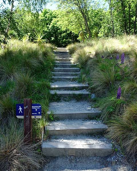 DSC04584 (3).JPG DSC04584 (3).JPG