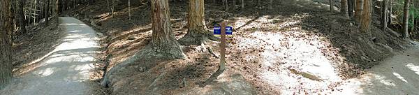 DSC04536 (1) DSC04536 (1)