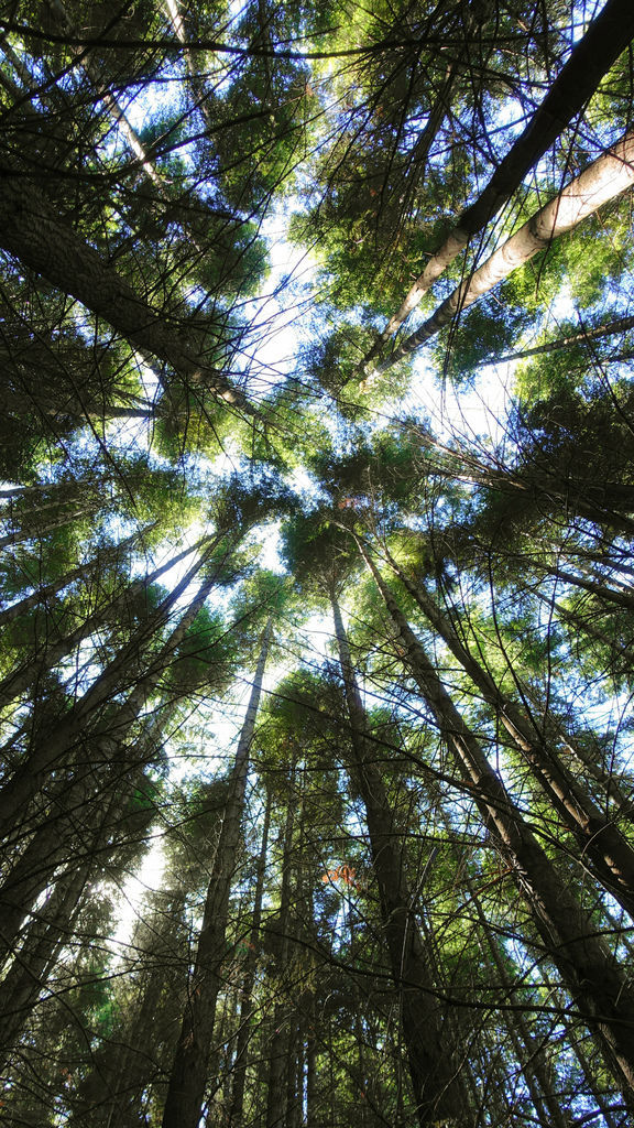 DSC04538 (1) DSC04538 (1)