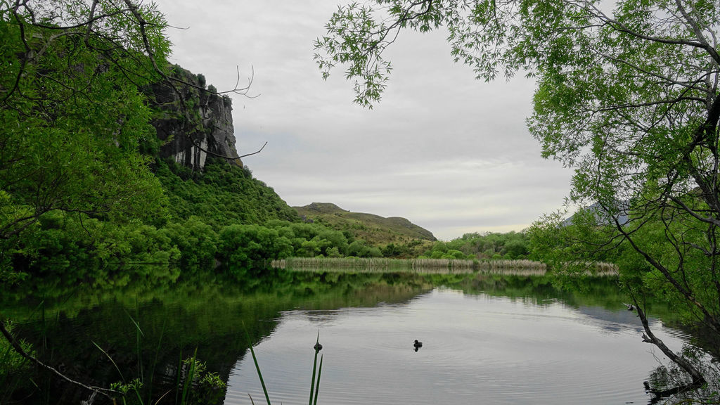 DSC04687 (2).jpg DSC04687 (2).jpg