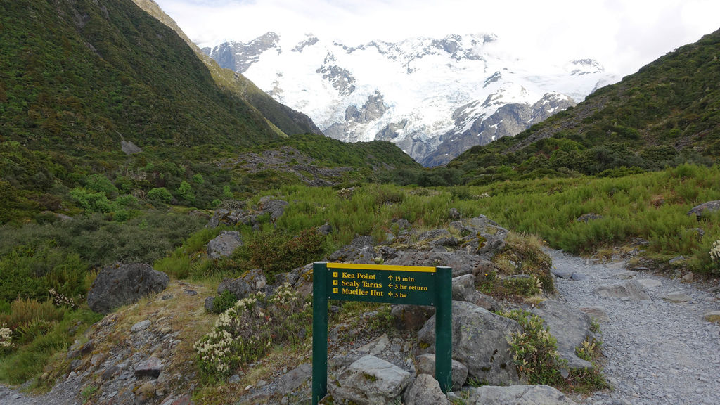 DSC04993 (1) DSC04993 (1)