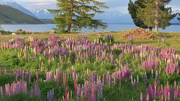 DSC05102 (2).JPG DSC05102 (2).JPG