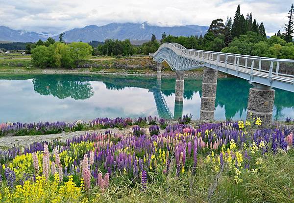 IMG20171127072714 (2).JPG IMG20171127072714 (2).JPG