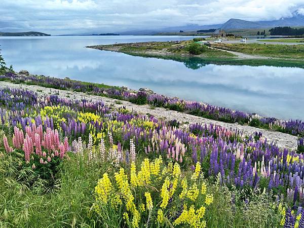 IMG20171127072915 (1).JPG