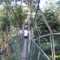 FRIM-Canopy Walk