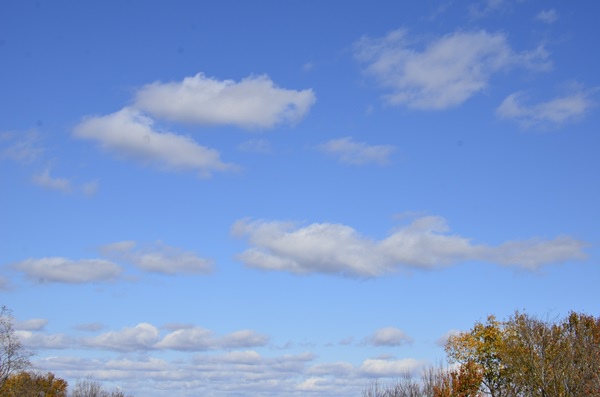 _DSC4043 _DSC4043