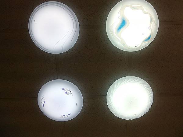 IMG_20140809_115742 IMG_20140809_115742