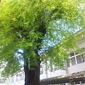 20140629_102515.jpg