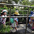 1080425動物園_黃班 (26).JPG