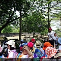 1080425動物園_黃班 (72).JPG