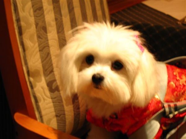 IMG_0701.JPG
