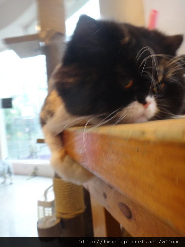 DSC00405_resize
