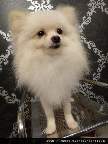 DSC01733_resize