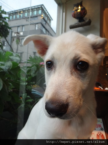 DSC01675_resize