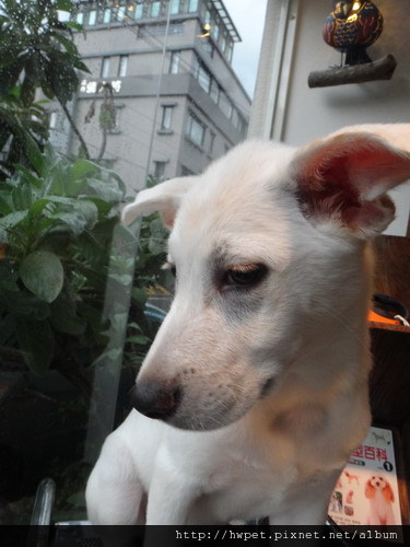DSC01683_resize