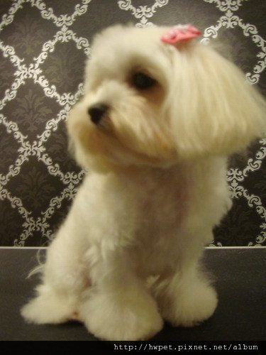 DSC07750_resize