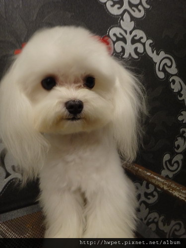 DSC01511_resize