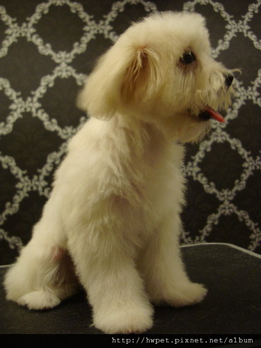 DSC00165_resize