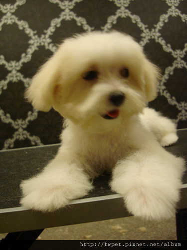 DSC00169_resize