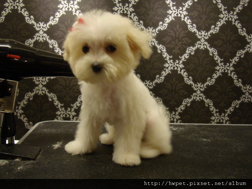 DSC07795_resize