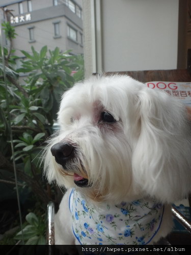 DSC04551_resize