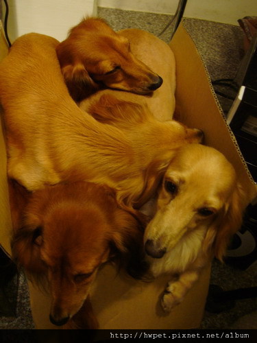 DSC02915_resize